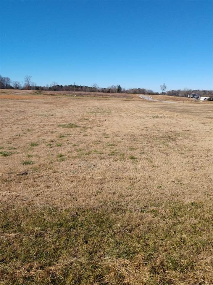 000 Old Vaughn Bridge Road - Photo 1