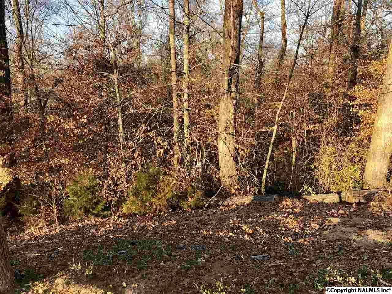 001 Pavilion Drive - Photo 1