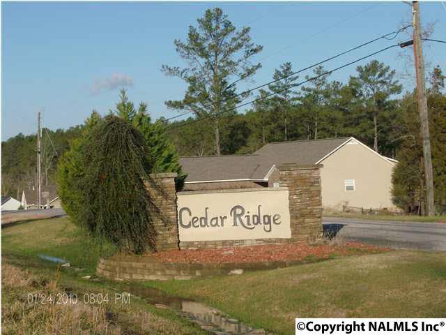 Lot 30 Cedar Ridge Circle - Photo 1
