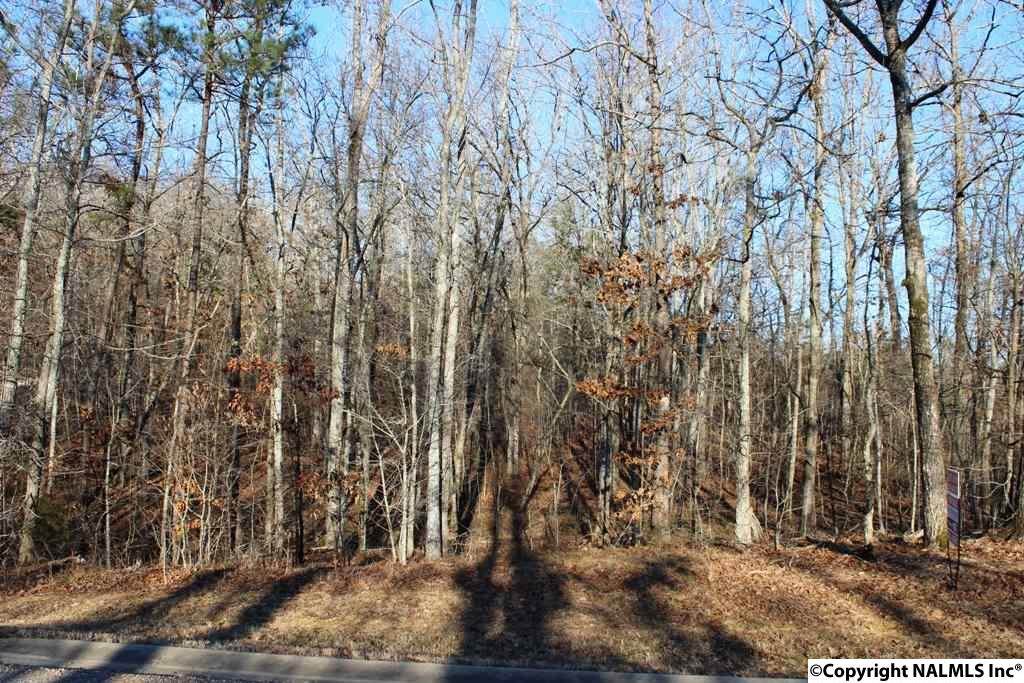 NA Raintree Drive - Photo 1