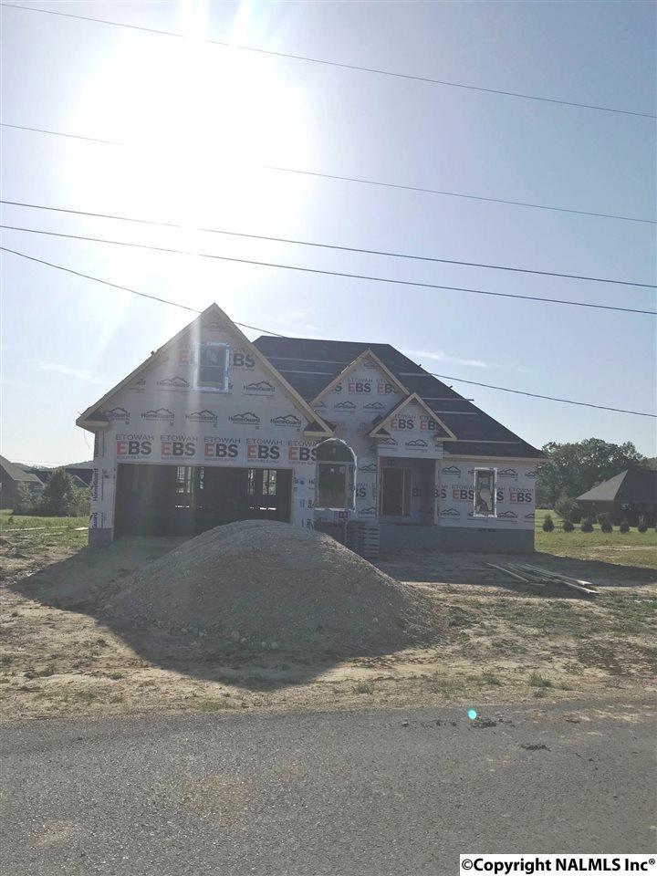 225 Cottonwood Circle - Photo 1