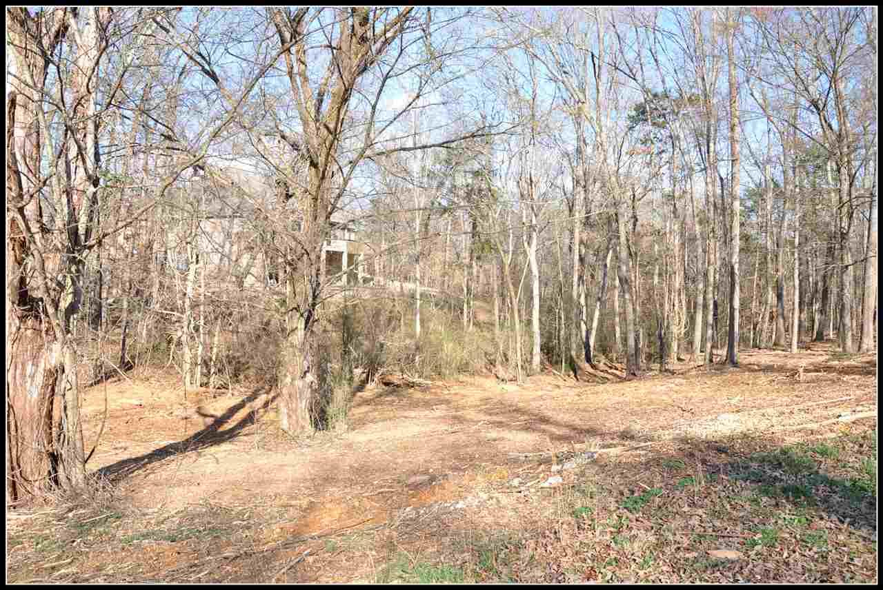 105 Bailey Court - Photo 1