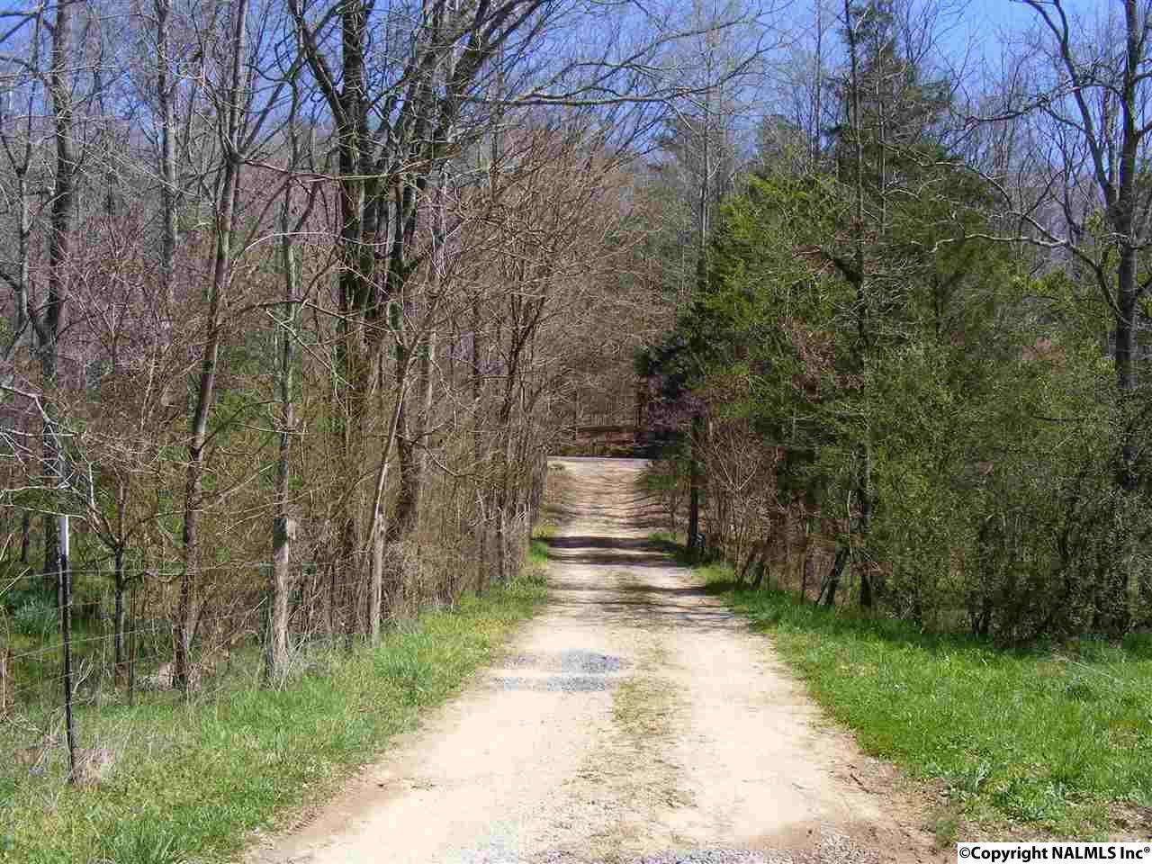 1707 County Road 751 - Photo 1