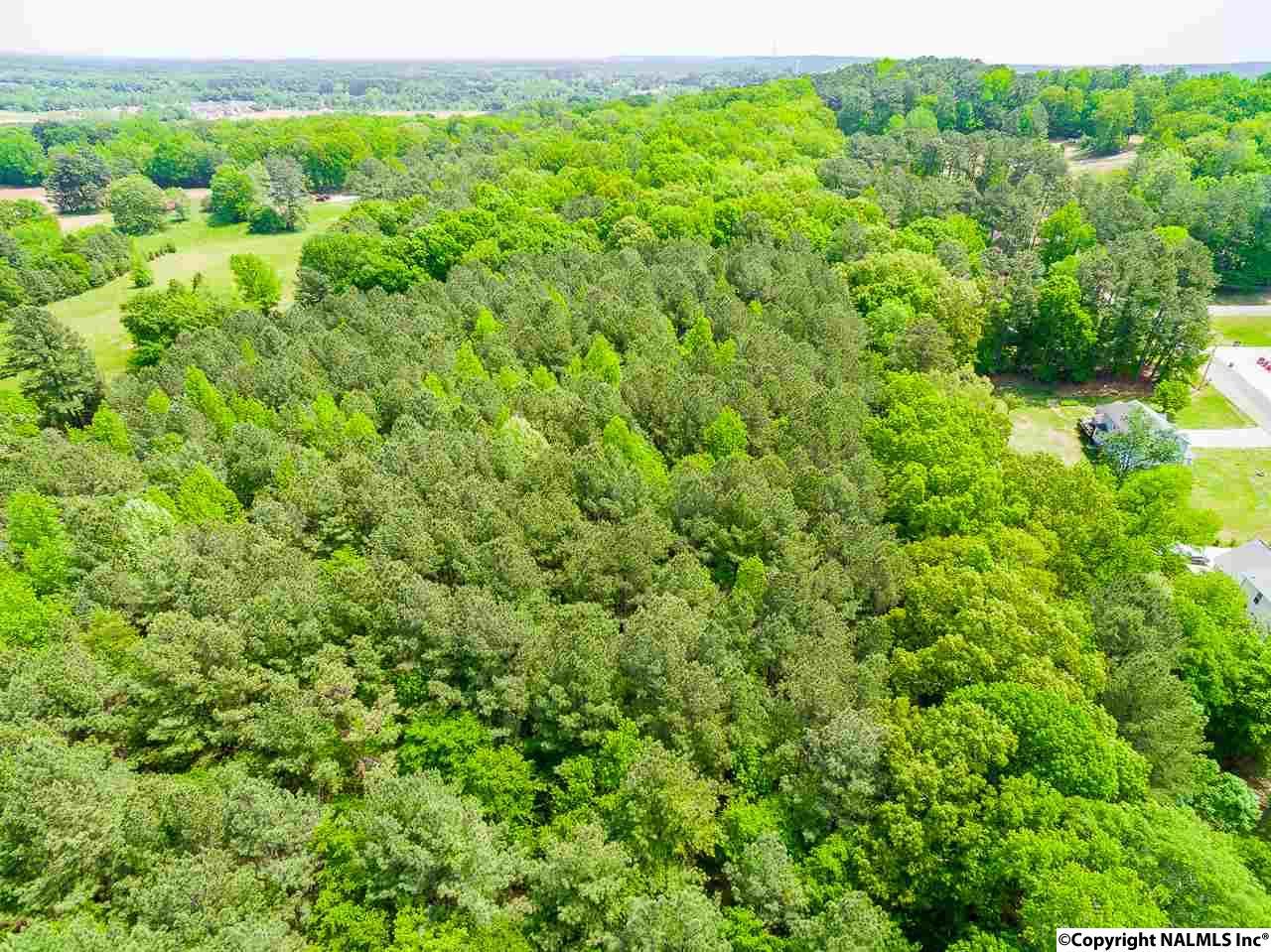 411 Austinville Flint Road - Photo 1