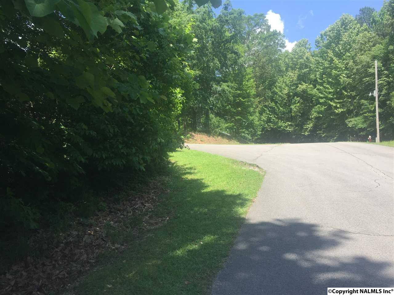 408 Oak Trail - Photo 1