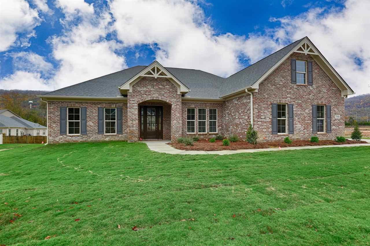 7011 Jane Elizabeth Drive - Photo 1