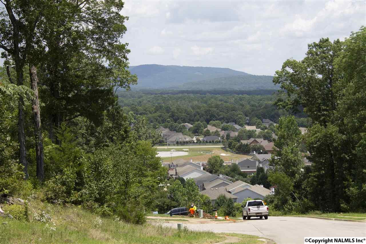 0 Saddle Ridge Drive - Photo 1
