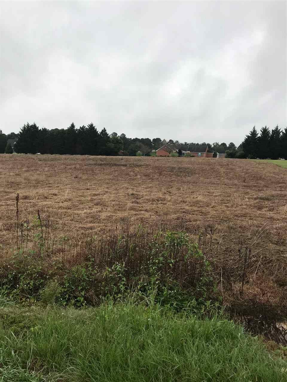 LOT 2 Thomason Road - Photo 1