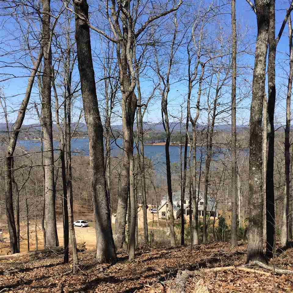 0 Pinnacle Point - Photo 1