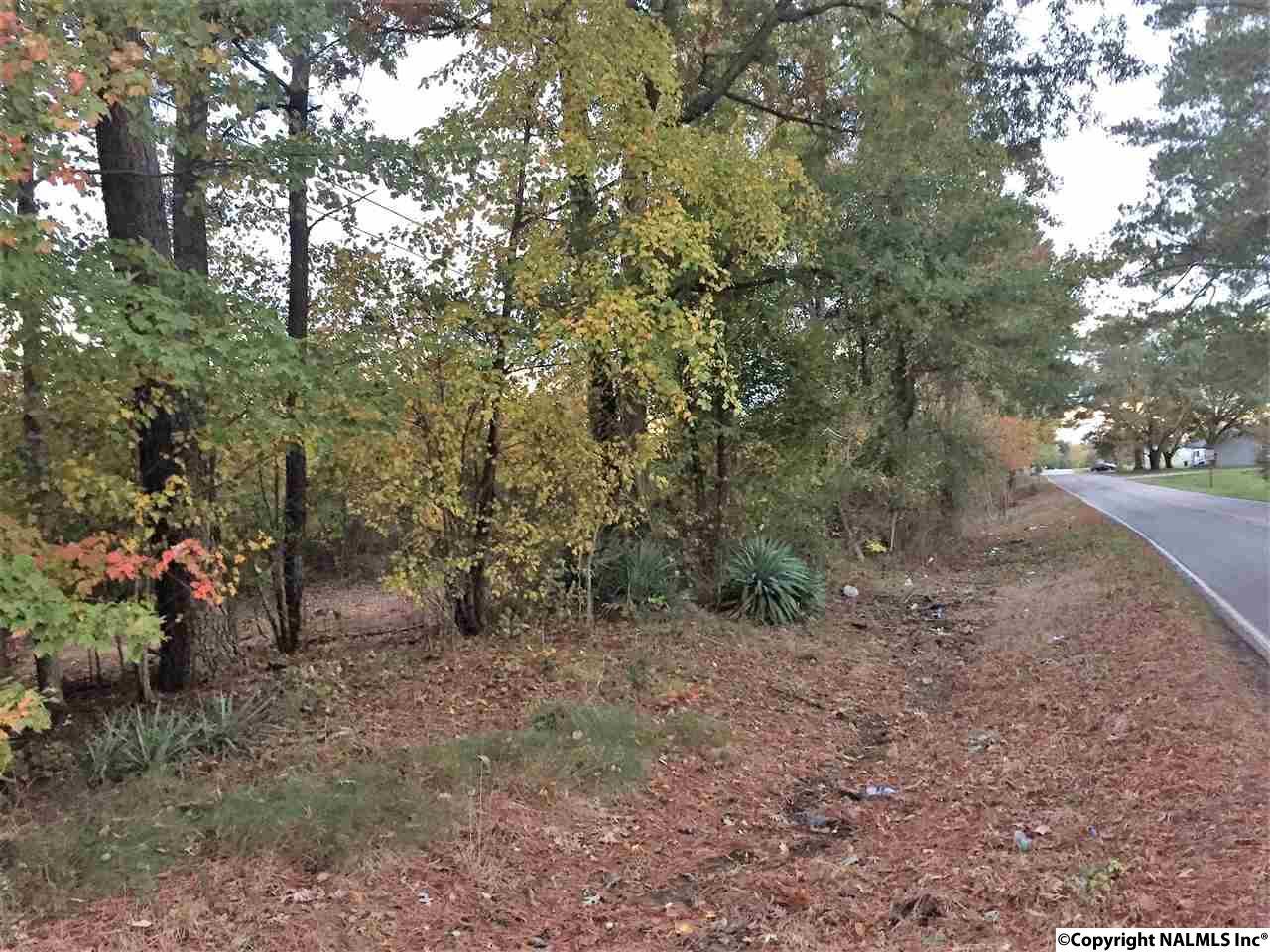 Lots 7-10 County Road 83 - Photo 1