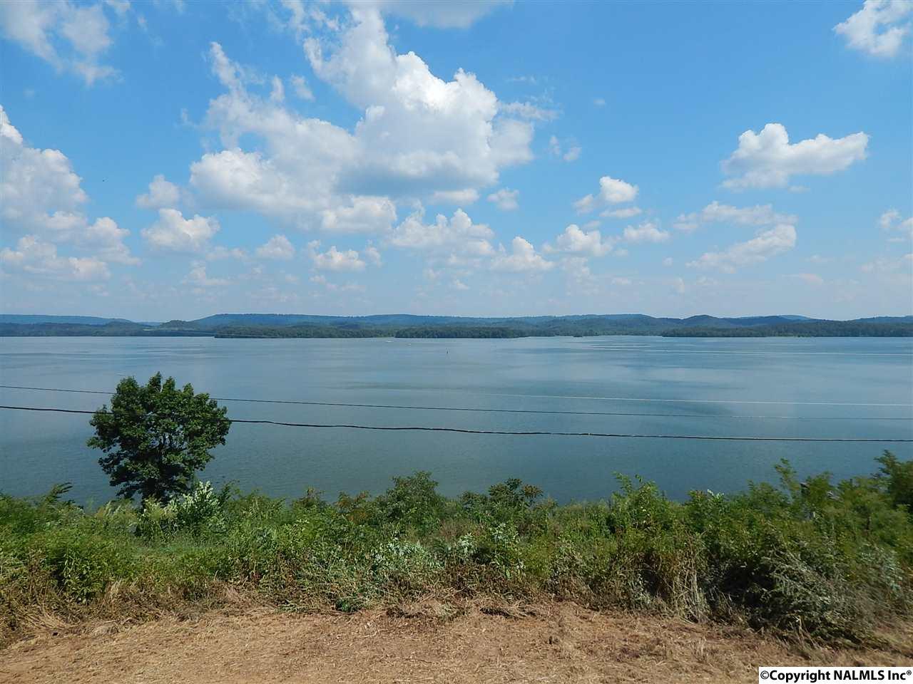 1492 Preston Island Circle - Photo 1