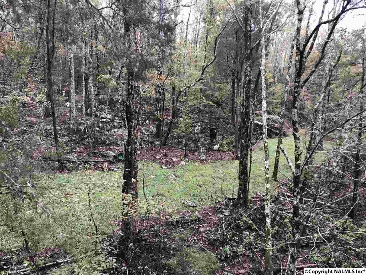 0 Highway 35 - Photo 1