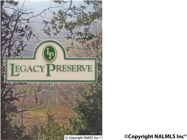 4609 Legacy Preserve Way - Photo 1