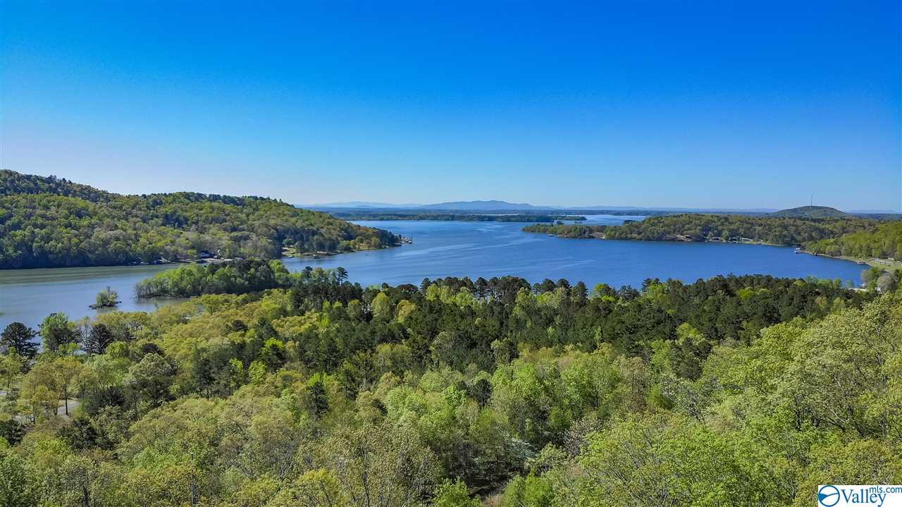 1175 County Road 732 - Photo 1