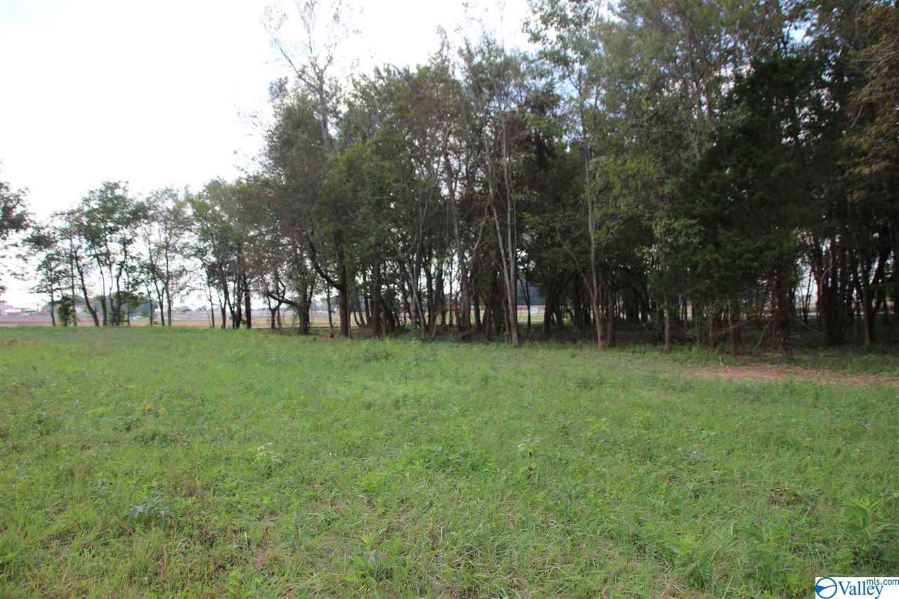 tract 10 Phillips Road - Photo 1