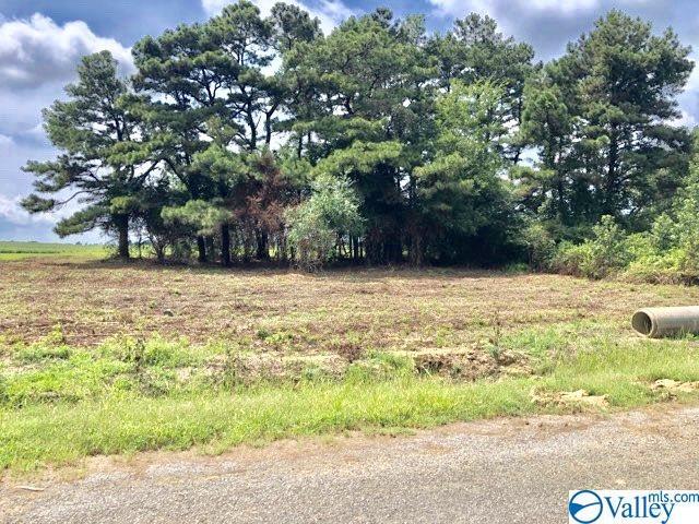 Poplar Creek Road - Photo 1