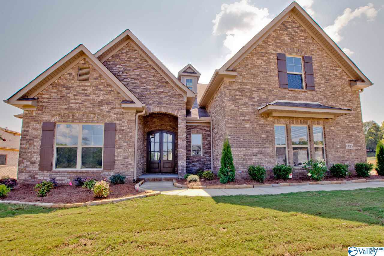 6015 Peach Pond Way - Photo 1