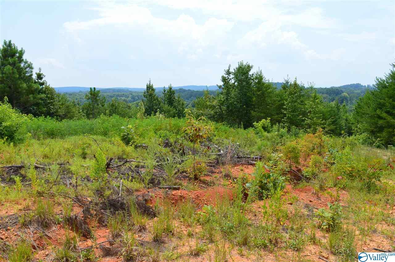 County Road 107 - Photo 1