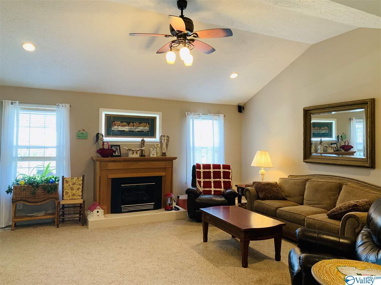 335 Lemon Tree Circle - Photo 1