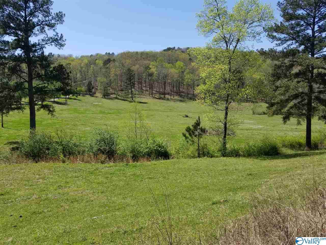 0 County Road 813 - Photo 1