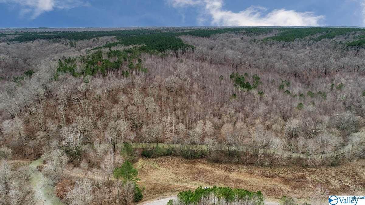 0 County Road 84 - Photo 1