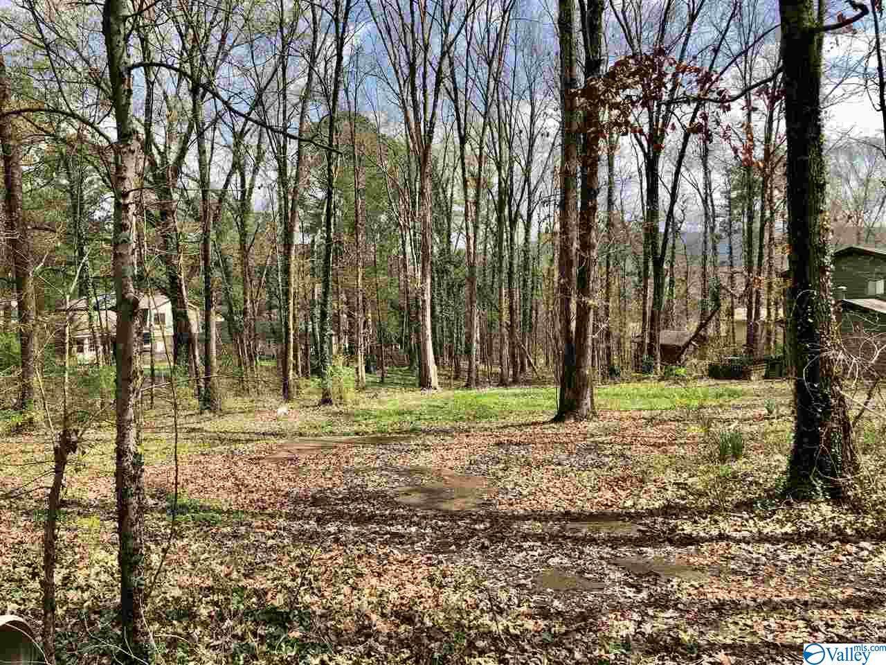 701 Mountain Gap Road - Photo 1 701 Mountain Gap Road - Photo 1
