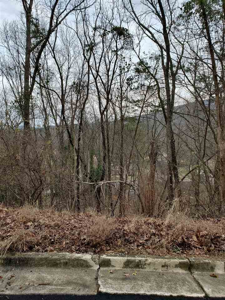 Lot 13 Smoke Rise Road - Photo 1