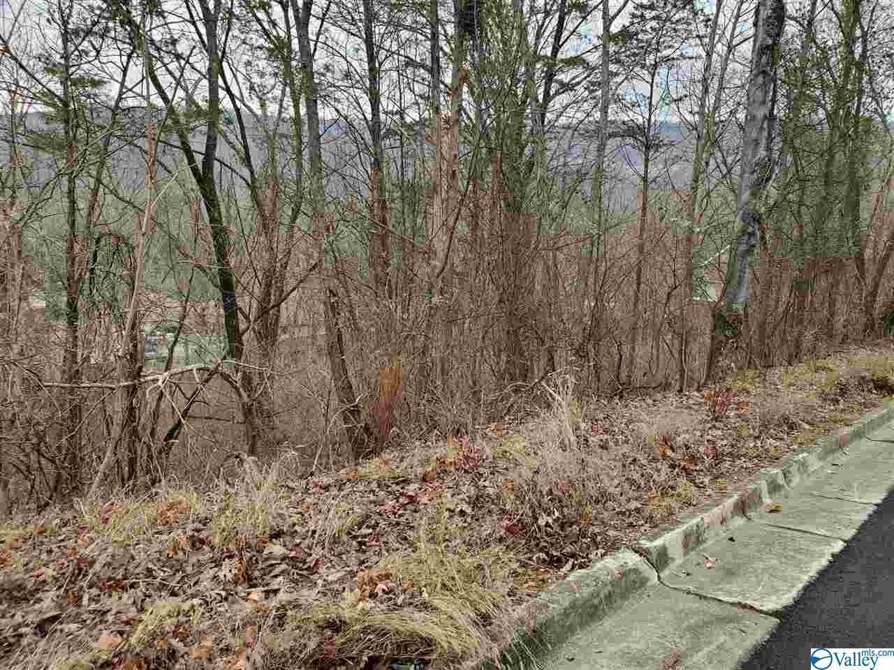 Lot 14 Smoke Rise Road - Photo 1