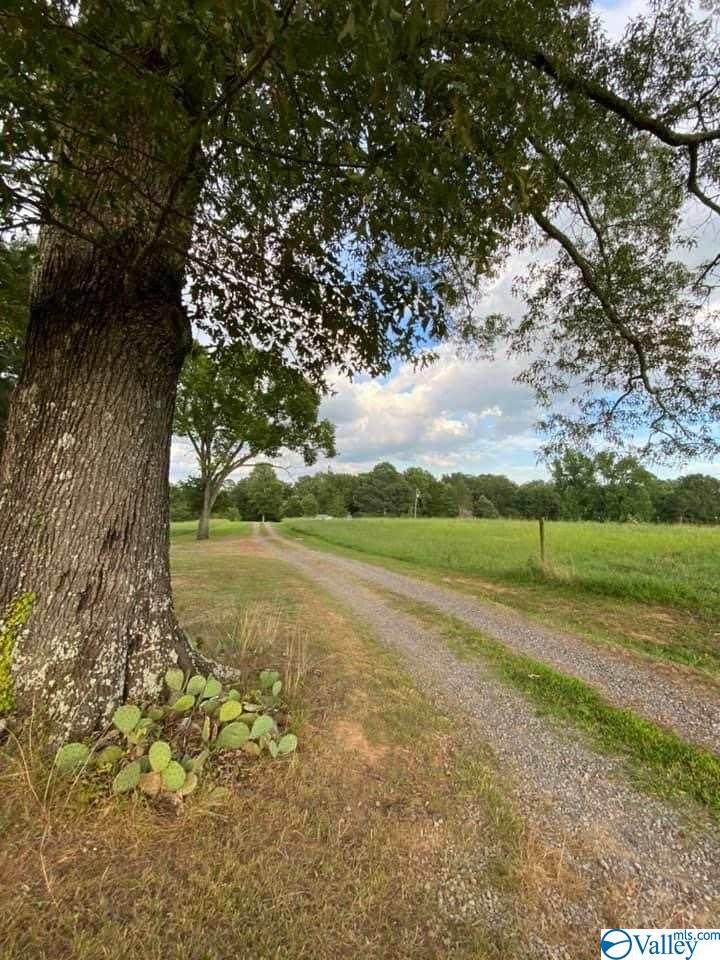1264 Morrow Mountain Road - Photo 1
