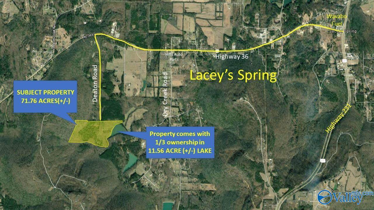 Lot 0 Deaton Road - Photo 1