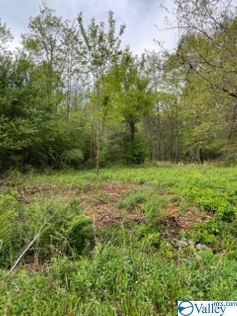 125 Eight Point Lane - Photo 1