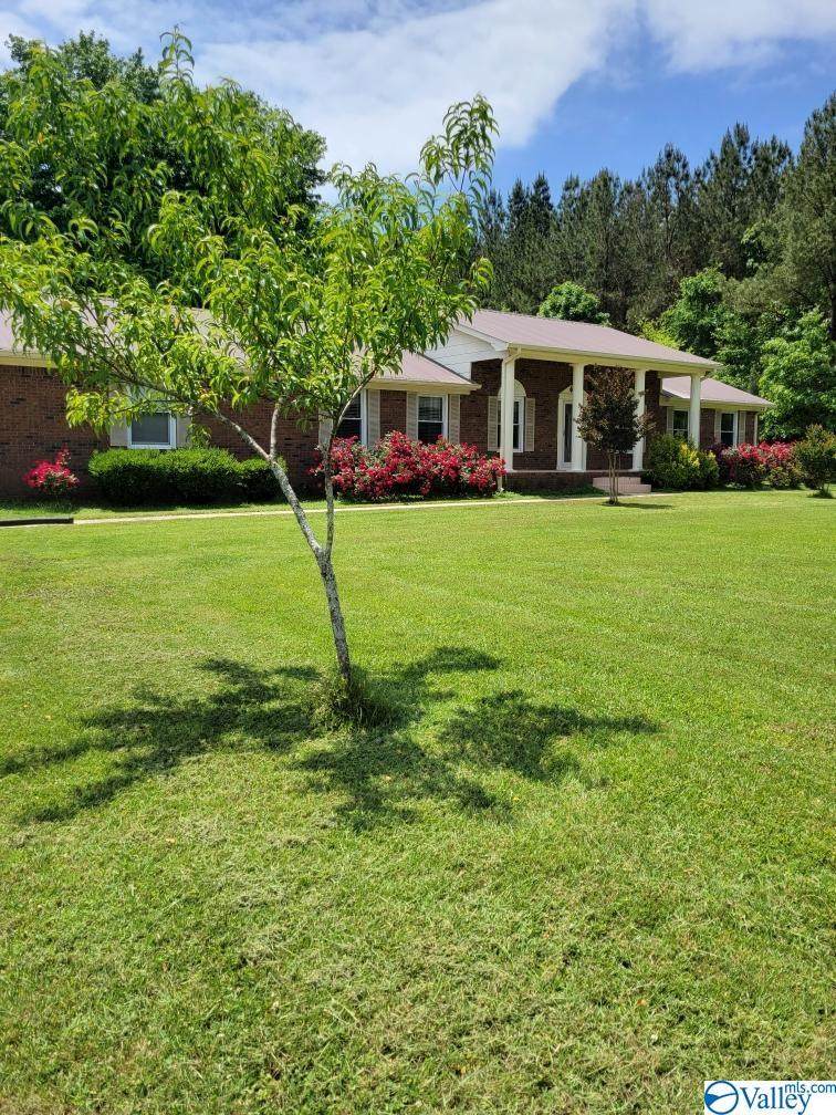 1310 County Road 343 - Photo 1