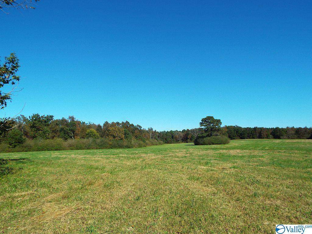 894 County Road 516 - Photo 1