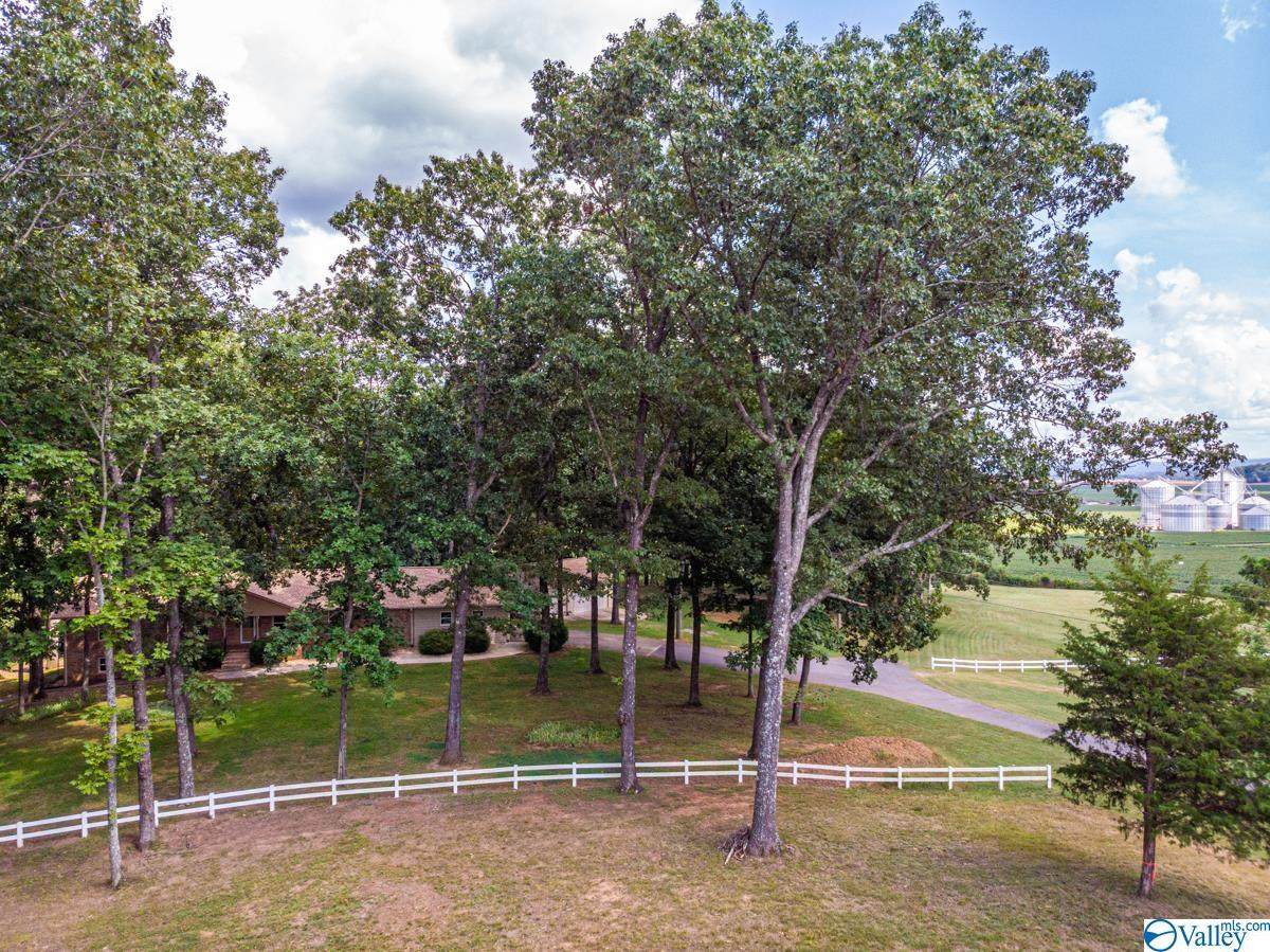 8516 Moores Mill Road - Photo 1