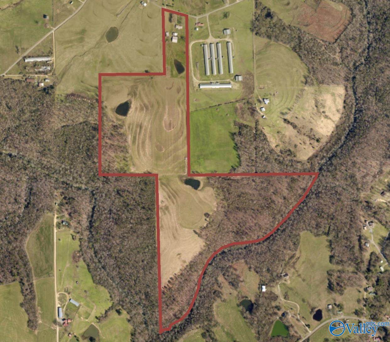701a County Road 53 - Photo 1