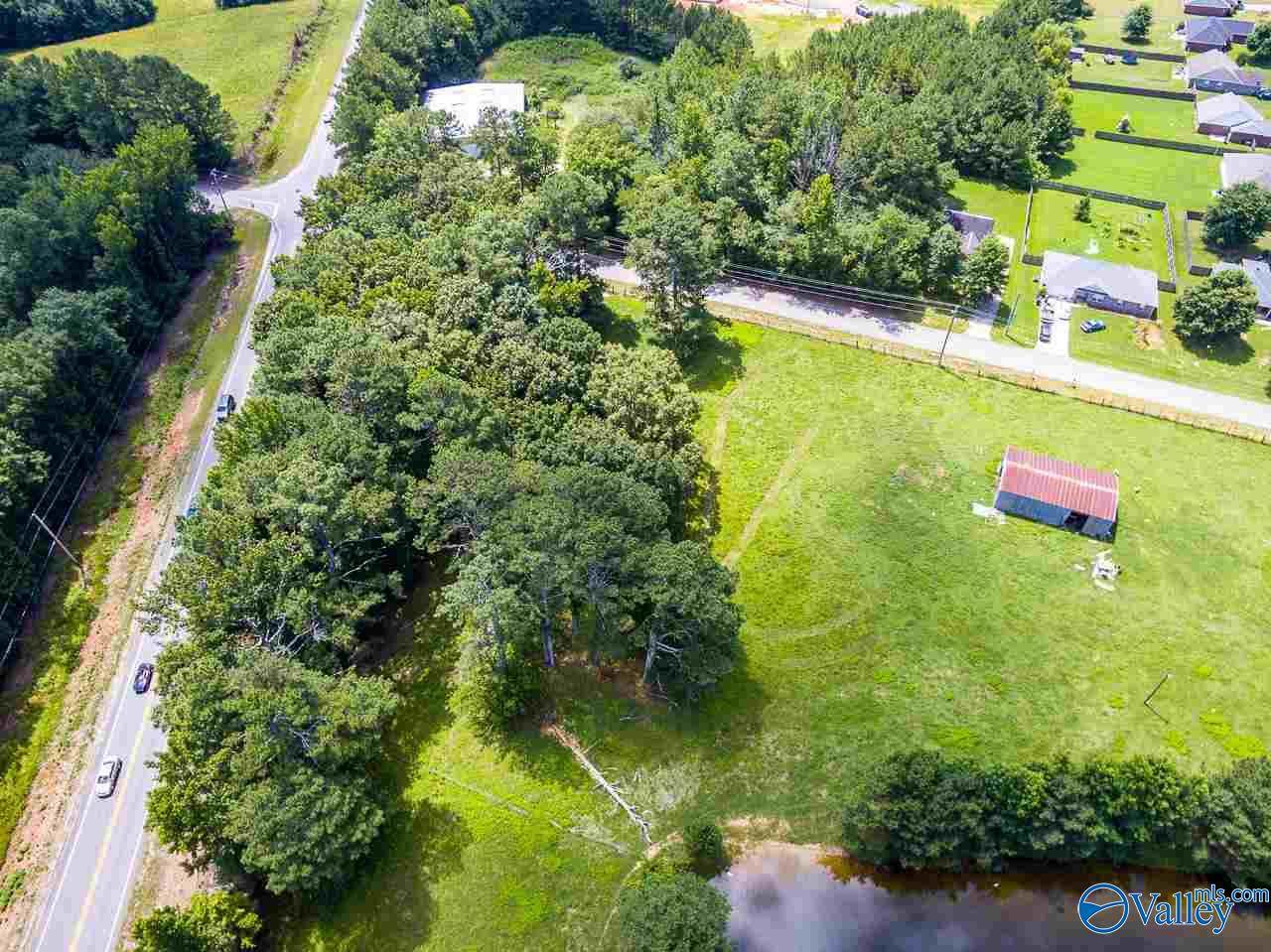 6985 Hwy 53 - Photo 1