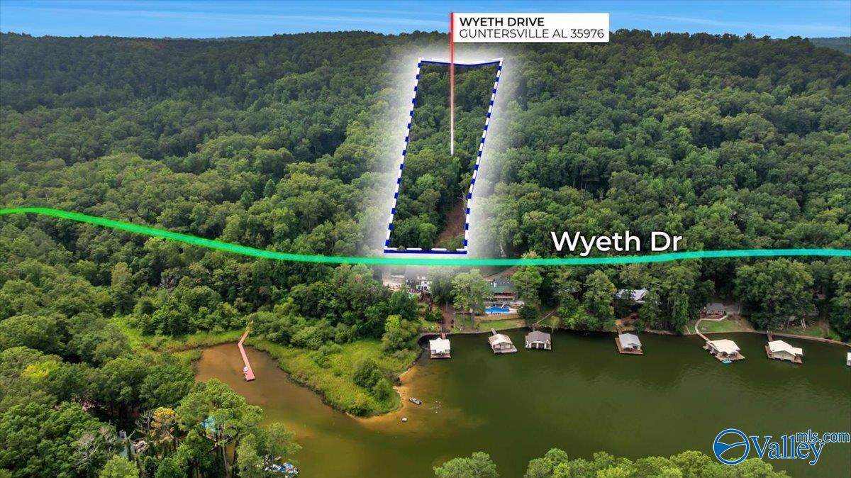 3.7 acres Wyeth Drive - Photo 1