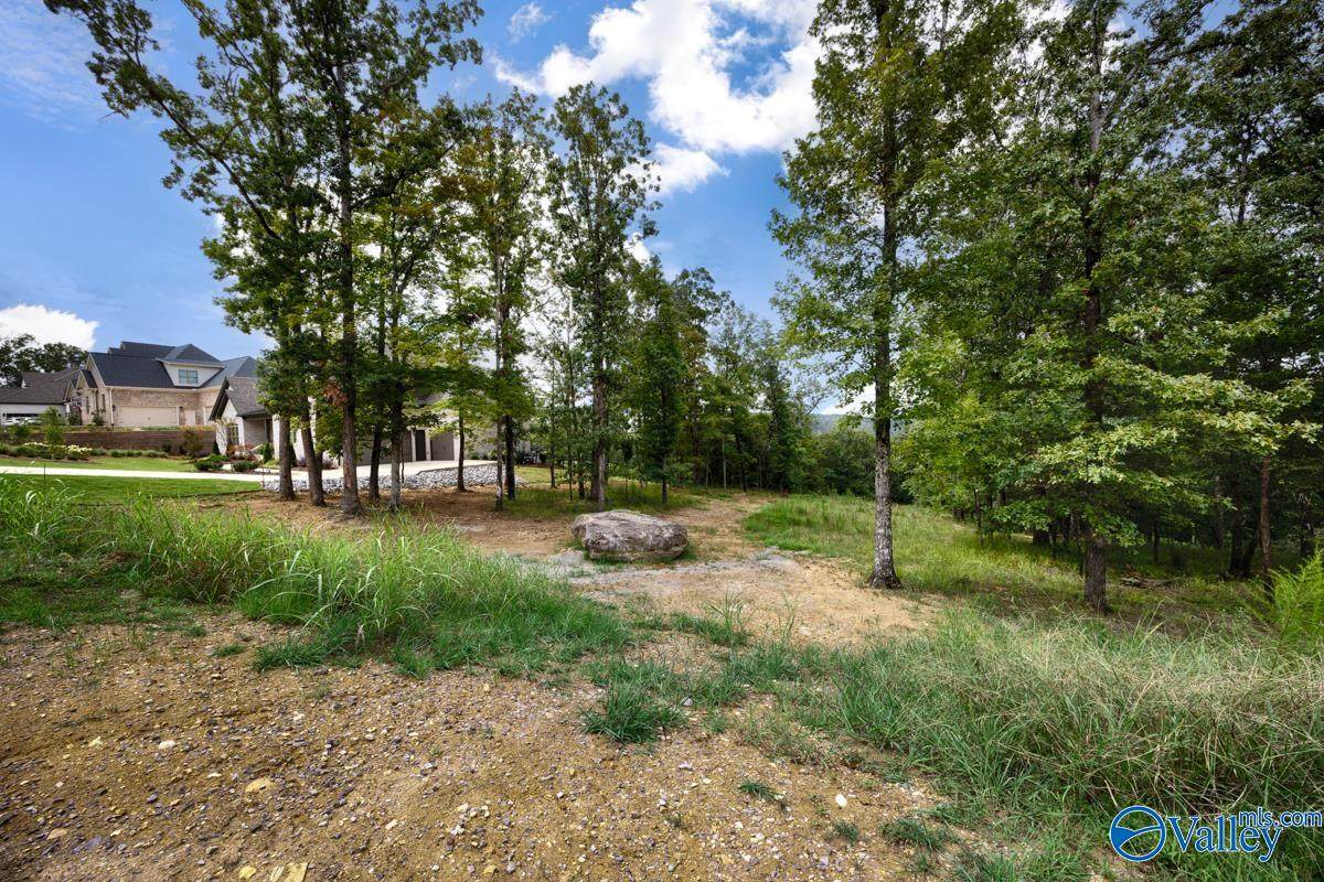 49 Watson Grande Way - Photo 1