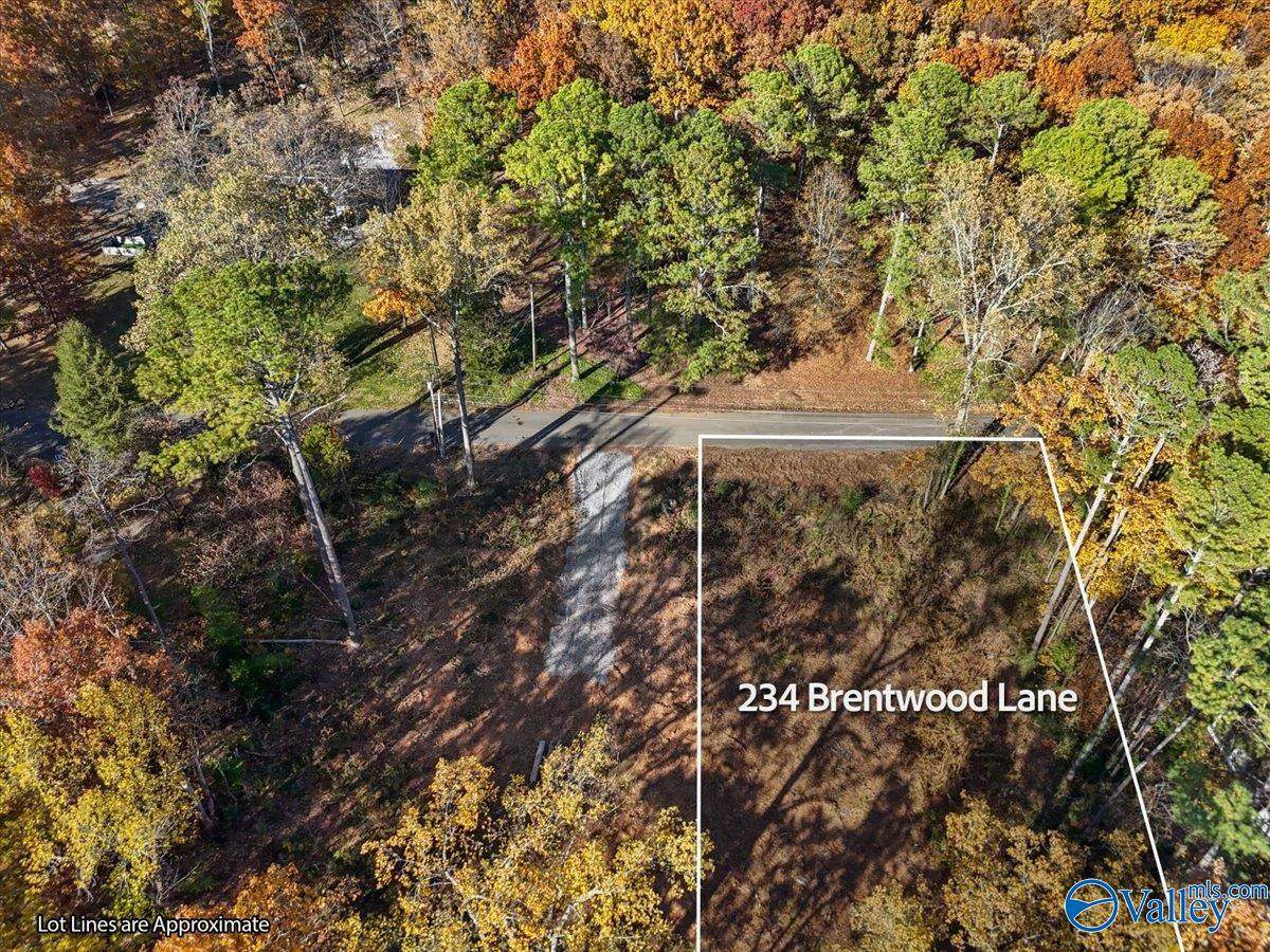 234 Brentwood Lane - Photo 1