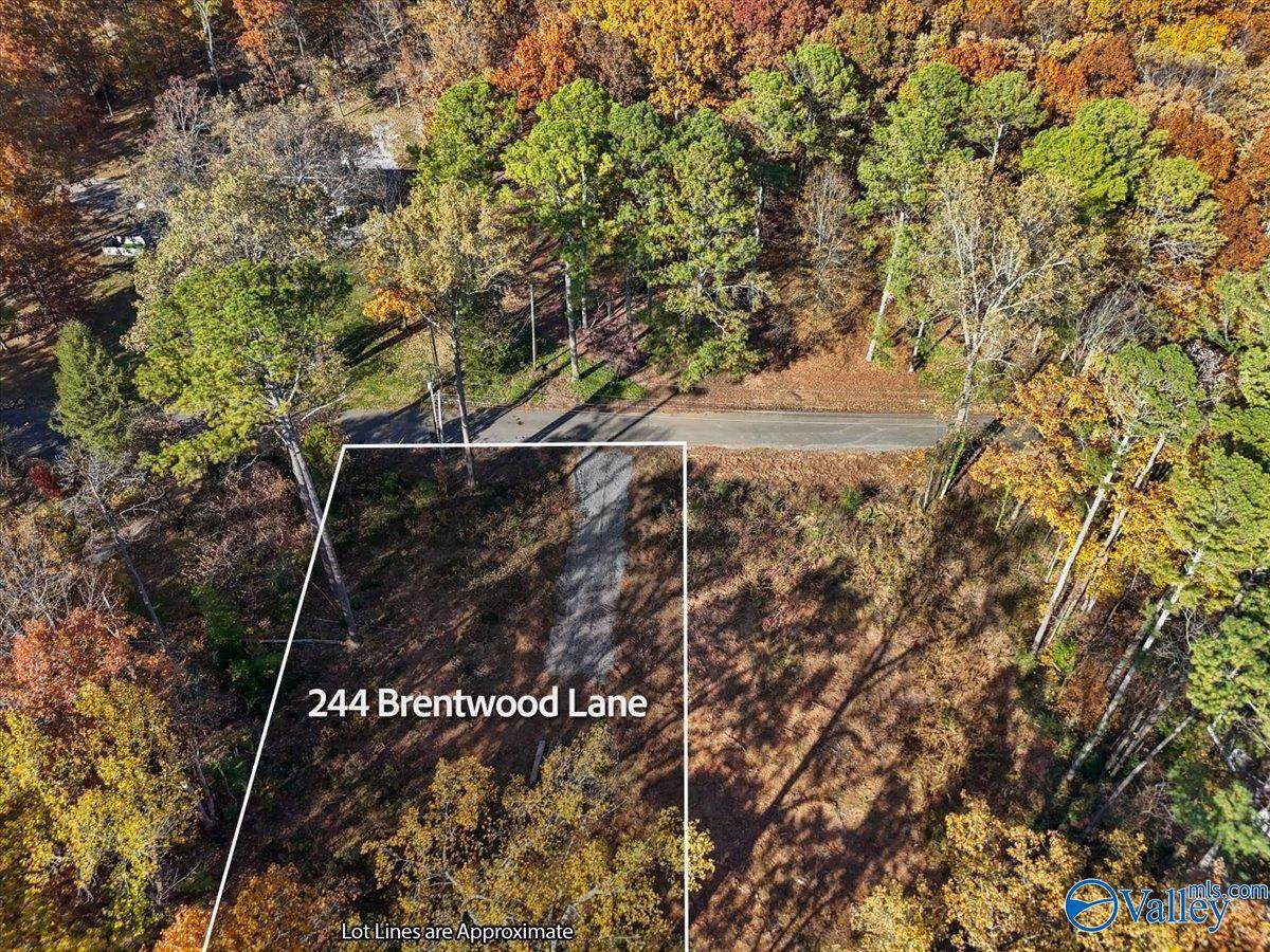 244 Brentwood Lane - Photo 1