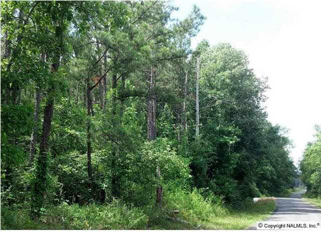 County Road 113 - Photo 1