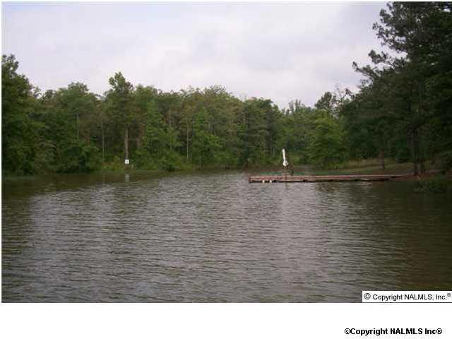 County Road 819 - Photo 1