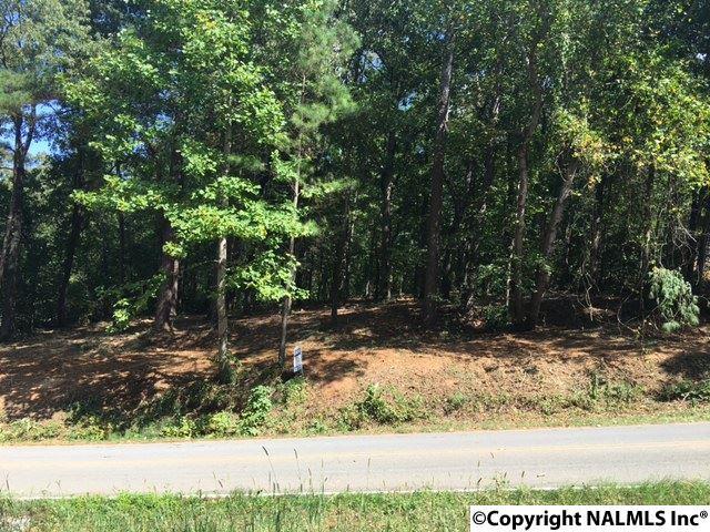 2505 Bluff City Road - Photo 1