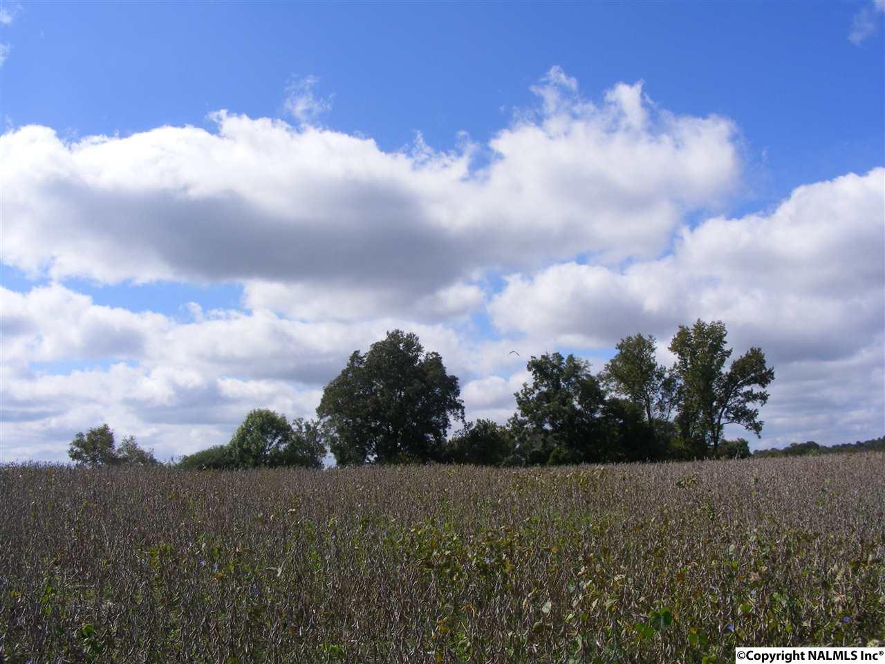 2 County Road 38 - Photo 1