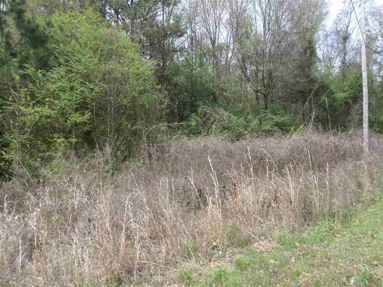 12 County Road 766 - Photo 1
