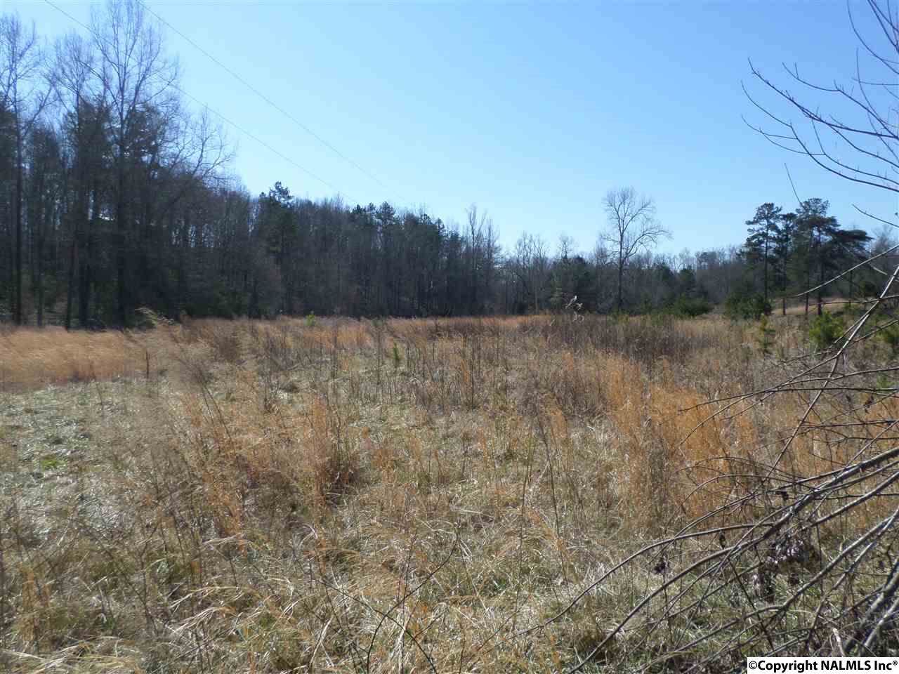 County Road 114 - Photo 1
