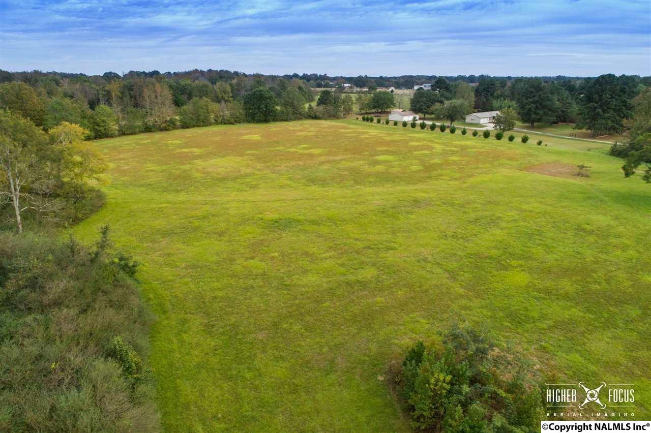 20090 Al Hwy 33 - Photo 1