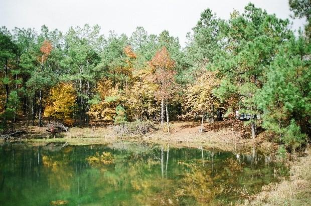 00 County Road 277 - Photo 1