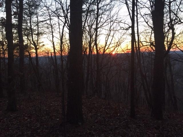 Road Road 9089 - Photo 1