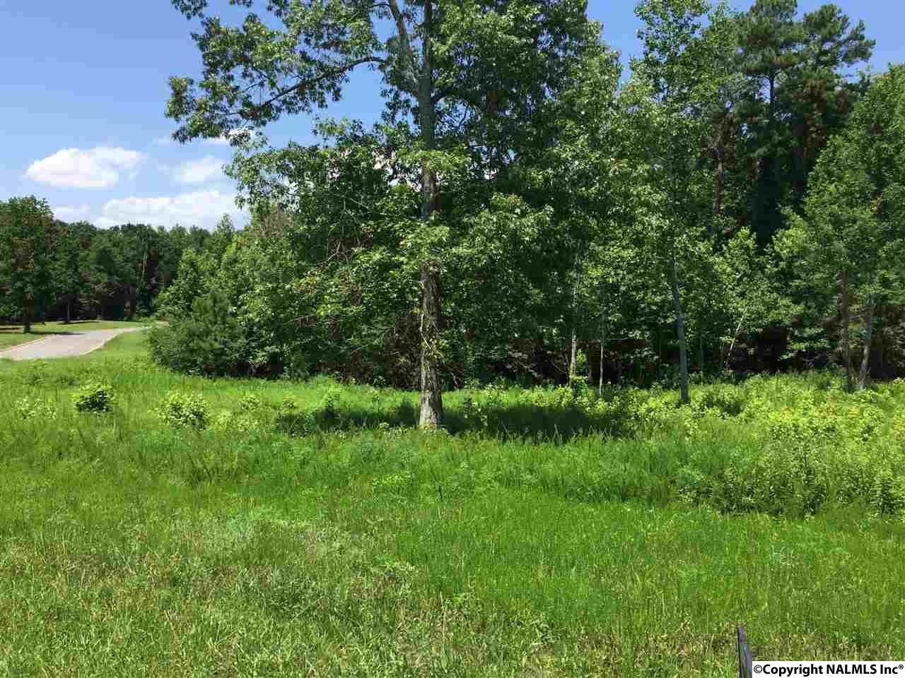 LOT 5 Island Drive - Photo 1